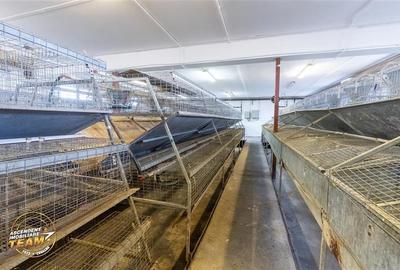 FILM! Ferma de iepuri,Malnas,Covasna: domeniu industrial/comercial,asset UE - 32