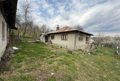 Casă cu 4 camere în Pietrișu - 6