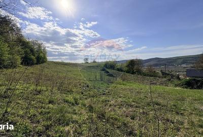 Teren de 15320 mp, în Central - 5