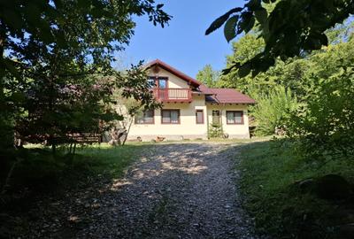 Casă cu 6 camere cu Teren 2267 Mp în Iedera de Sus - 3