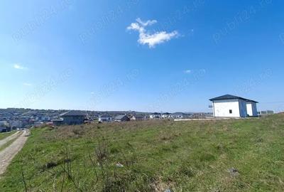 Teren de 1053 mp, în Vișan - 6