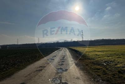 Teren 4,000mp Balotesti / Strada Rozelor - 7