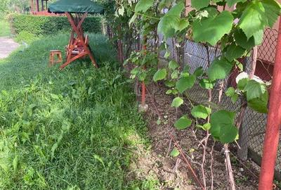 Casă cu 5 camere cu Teren 1600 Mp în Central - 2