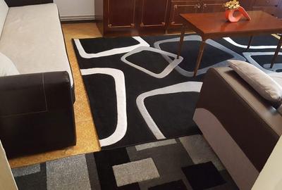 Apartament cu 3 camere decomandat în Dosu Bricii - 2