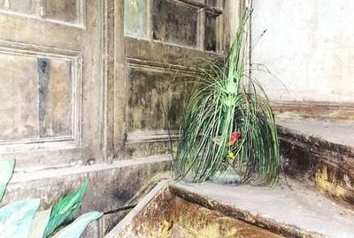 Casă individuală cu 9 camere cu Canalizare în Armeneasca - 26