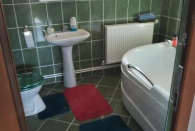 Casă cu 3 camere cu Teren 1054 Mp în Zăvoi - 7