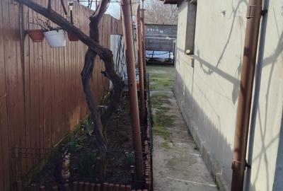 Casă cu 3 camere în Viile Noi - 6