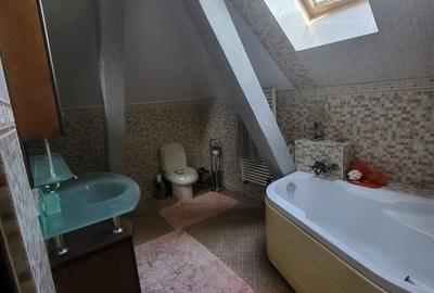 Vila boiereasca, superba, strada, linistita, nelipita de vreun alt imobil Vila boiereasca, superba, strada, linistita, nelipita de vreun alt imobil - 24