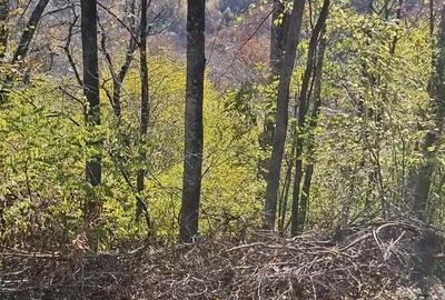 Vand cu acte cf teren intravilan doar 2.5 euro mp - 2