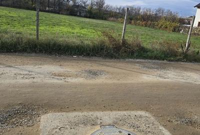 Teren de 7200 mp, în Sud - 1