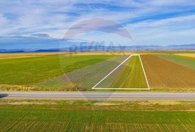 Teren de 10000 mp, în Tărlungeni - 4