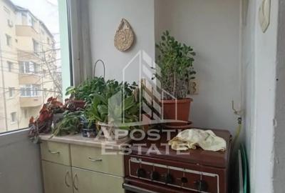 Apartament cu 3 camere decomandat, mobilat în Freidorf - 2