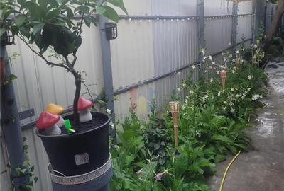 Casa 5 camere, suprafata teren 200 mp, zona Piata Saraca - 10