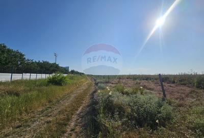 Teren de vanzare 1,070 mp Ovidiu / Academia Hagi - 5