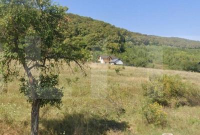 Teren de 1300 mp, în Viișoara - 1