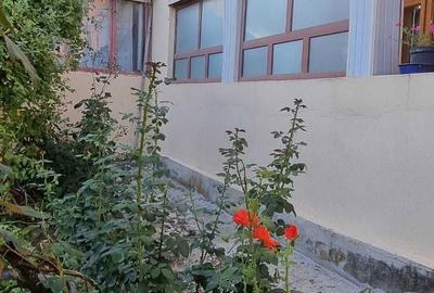 Casă cu 4 camere în Teslui - 6