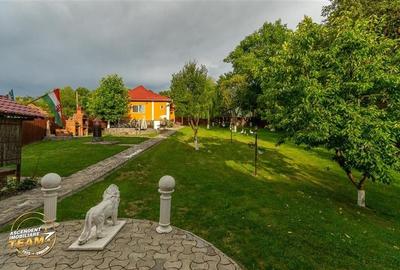 FILM&3D! Doua case cu:piscina,foisor,arbori decorativi,1.700mp teren,Lutoasa,Cov - 58