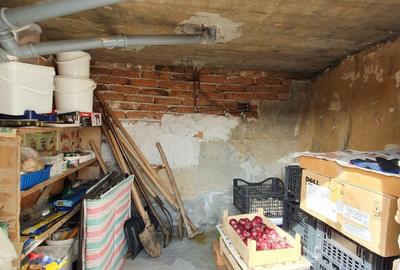 Vind vila in satul ROD- Pe drumul TRANSALPINA - 9