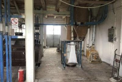 Proprietate specială, de 680 mp, în Talpoș - 11