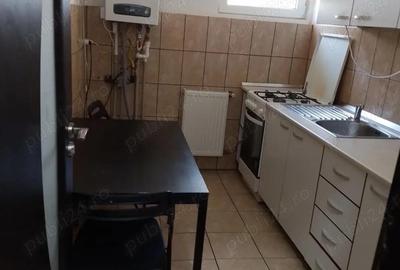 Inchiriere apartament 2 camere decomandat Lacul Tei - Maica Domnului - 9