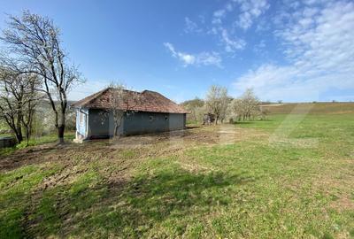 Casa  cu 10000mp de teren in Buza, la 50 km de Cluj-Napoca - 8