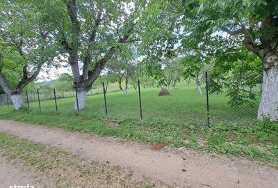 Teren de 2400 mp, în Galda de Jos - 4