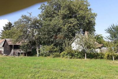 Casa 3 camere, teren 3625 mp, toate utilitatile, Sacele, Brasov - 4