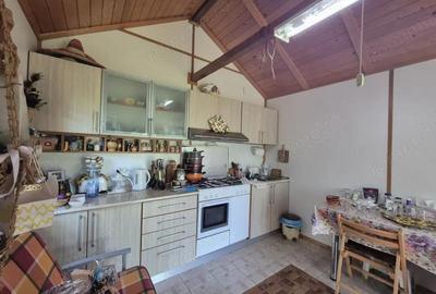 Vanzare proprietate remarcabila situata in zona turistica Runcu - 9