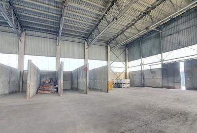 PRETABIL: SPATIU PRODUCTIE LOGISTICA DEPOZITARE - 9