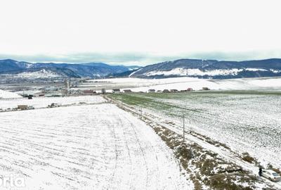 Teren de 4800 mp, în Ciritei - 3