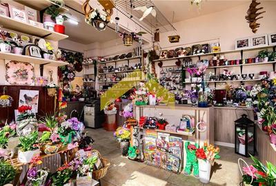 Spatiu comercial de vanzare centru Vladimirescu - 11