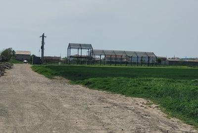 Teren 2,8 Ha, intravilan Oras Ovidiu – Varianta - 8