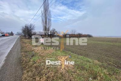 Teren Construcții intravilan de 7200 mp, în Doina - 3