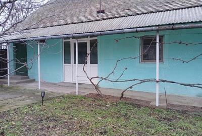 Casa cu teren 2877.mp la 27 km de Timi?oara - 8