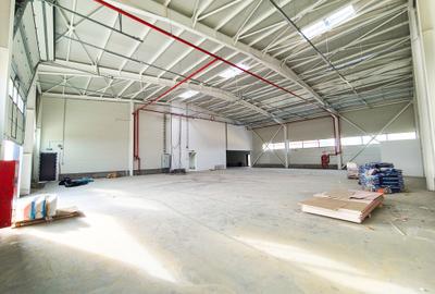 Hale,spatii industriale Albota,Pitesti Arges Hale,spatii industriale Albota,Pitesti Arges - 5