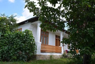 Teren de 500 mp, în Clipicești - 4