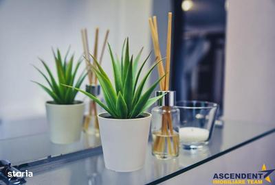 Spațiu comercial, de 500 mp, în Moieciu - 4