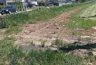 Teren de 11608 mp, în Bucovăț (Remetea Mare) - 1