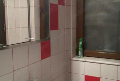 Vila cu 3 camere + mansarda si curte. - 5
