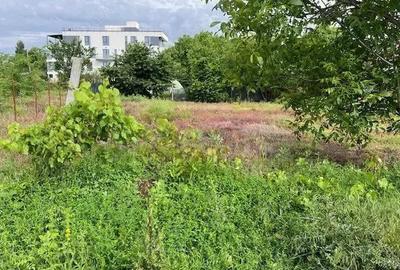 Teren Ghencea- Dantelei- Darvari. - 2