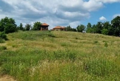 Casă individuală cu 5 camere cu Canalizare în Valea lui Enache - 6