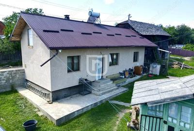 Ferma agricola, plantatii de mure, trandafiri, vita-de-vie - 7