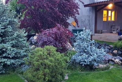 Casă individuală cu 5 camere cu Canalizare în Berceni - 13