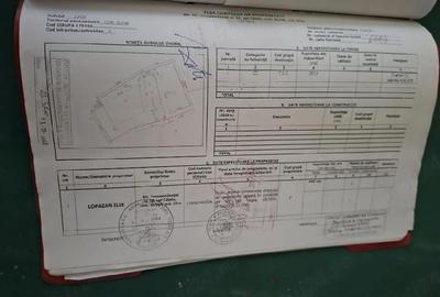 Teren de 338 mp, în Amara - 3