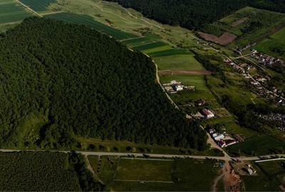 Teren de 6202 mp, în Palilula - 8