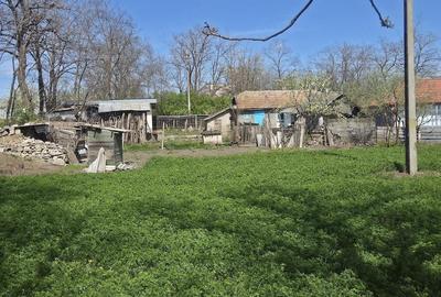 Casă cu Teren 2000 Mp în Miorcani - 3