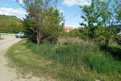 Teren de 550 mp, în Alexandru cel Bun - 1