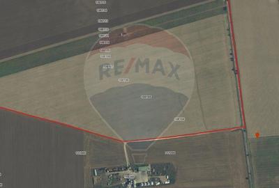 Spațiu comercial, în Săcele - 8