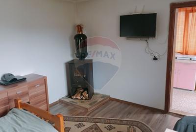 CASA + Casuta - DE VANZARE in Baia Sprie - 12