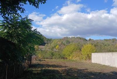 Teren intravilan Teslui - 5